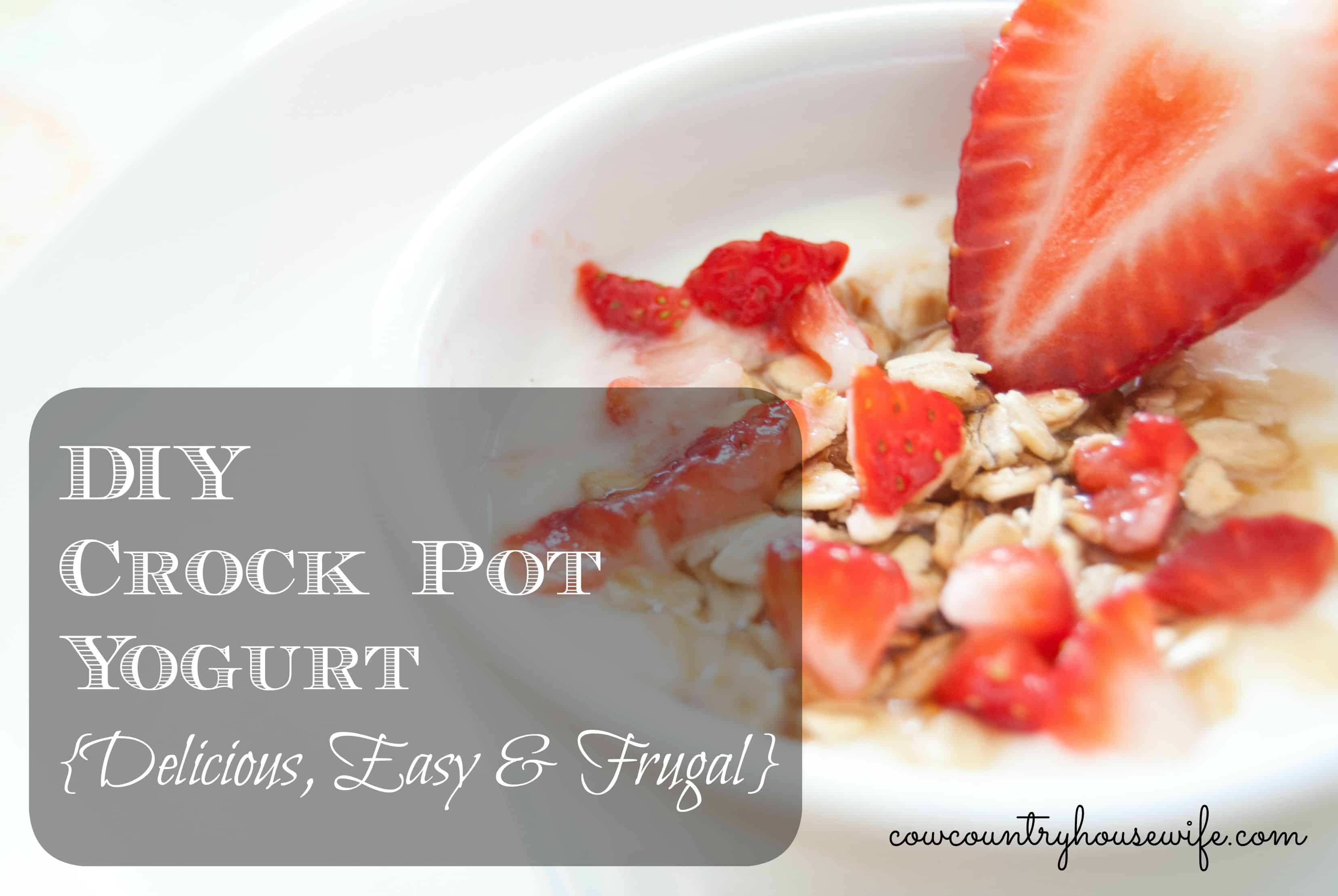 DIY Crock Pot Yogurt {Delicious, Easy & Frugal}