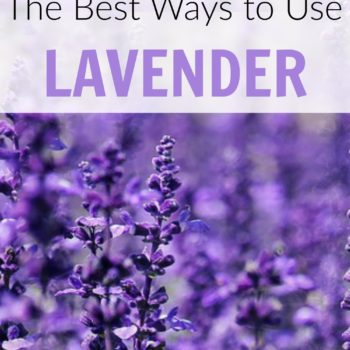 The best ways to use lavender essential oil. This is a great list with easy instructions!
