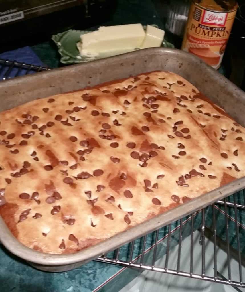 Marbled Pumpkin Cream Cheese Squares Final