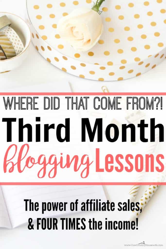 She made FOUR TIMES as much in her third month blogging!! She's got some amazing tips that are really helpful for a new blogger to get started making an income from blogging. I can't wait to try these out!