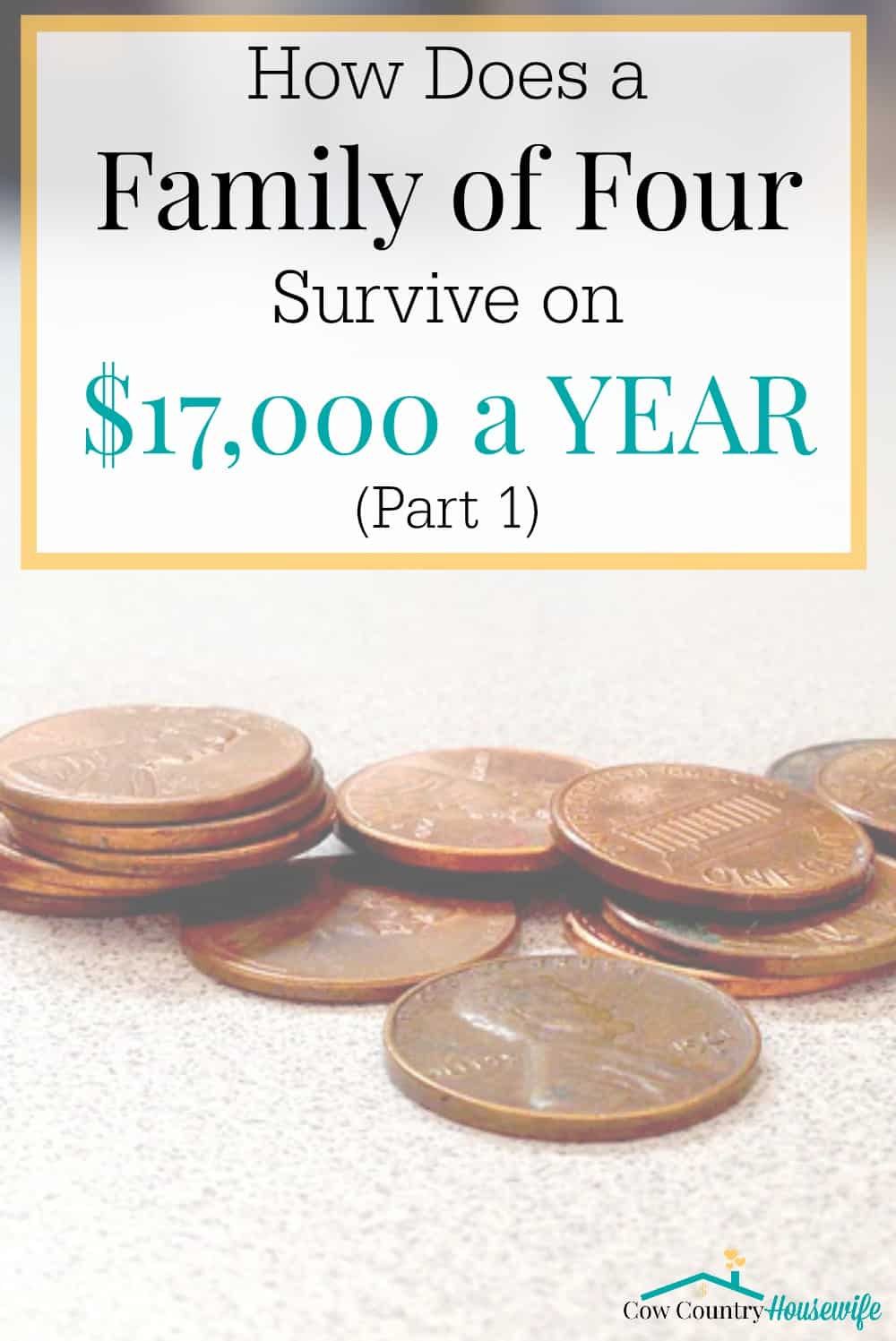 How Does a Family of Four Survive on $17,000 a YEAR? It wasn't easy, but we did it. AND still managed to buy 2 cars, a house, and build up a savings account. Here's how we did it...