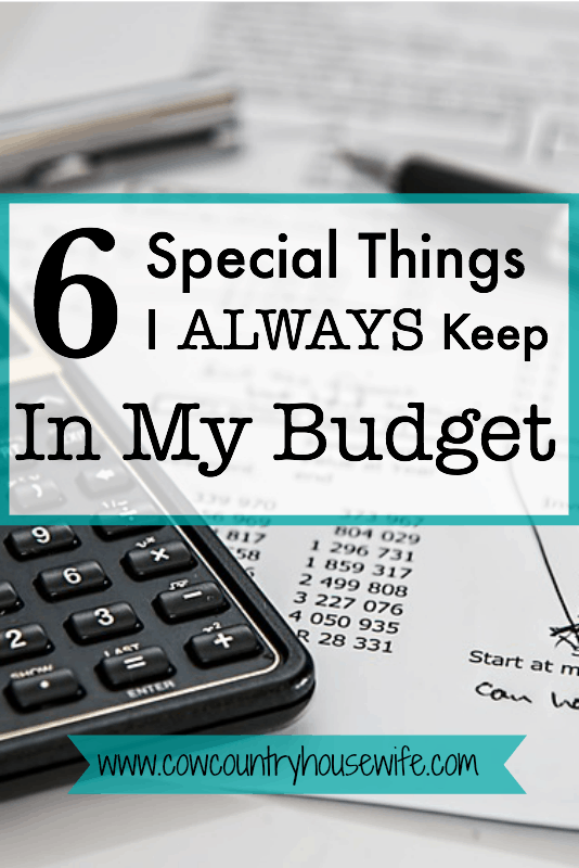 6 Special Things I Always Keep In My Budget - Cow County Housewife - You can't predict the future, but you can make sure that you save up for it.