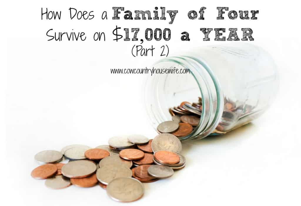 How Does a Family of Four Survive on $17,000 a YEAR? It wasn't easy, but we did it. AND still managed to buy 2 cars, a house, and build up a savings account. Here's how we did it...