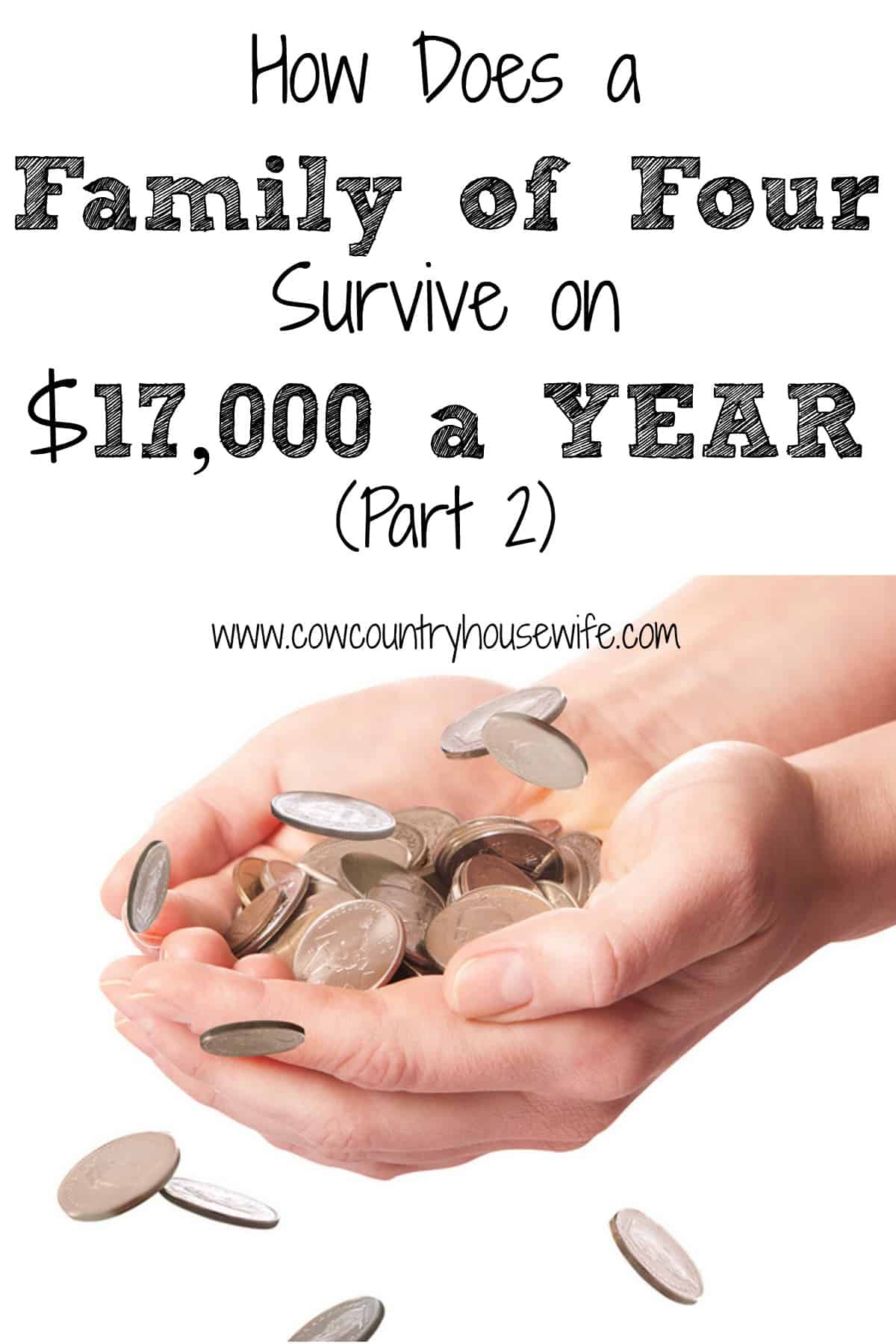 How Does a Family of Four Survive on $17,000 a YEAR (Part 2) www.cowcountryhousewife.com
