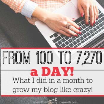 She grew her blog so much in such a short amount of time! Her steps for growing a blog look so easy, too. I can't wait to try them out for my own blog!