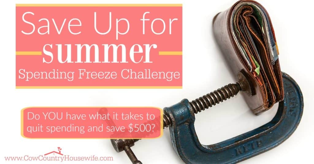 Want to pay for your vacation in cash? Build up for savings account? Or just learn how to easy it is to save $500 if you really need to? Save up for summer with a spending freeze! I can't wait to try this out!