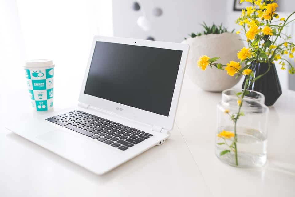acer-791027_960_720-1