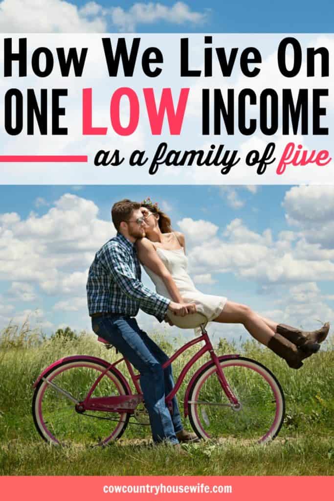 How to live on one income. This family of five lives on one low income and still manages to save money and live frugally. Frugal living is easier when you have a goal. Save money, live fully. How to live on one low income. This is so inspirational! She shares how her family of 4 lived off of $17,000 each year! Easy ways to save more money. Learn how to save money. How to save on a low income. How to live on a ow income. How to live well on any income. How to live well on a low income. Personal finance tips for a low income. How can a family of four live well on $17,000/year? It's possible and no matter how much income you earn, you can learn a few things that will help you get control of your money. How We Lived Well on $17,000 as a Family of Four. how to live on one income and save money. How to live on one income tips. How to live on one income without debt. How to live on one income and stay out of debt. How to live on one income budget. How to live on one income families. Living on one income tips. Living on one income and save money. Living on one income Dave Ramsey. One income family. One income budget. One income living. One income family budget. One income family budget tips.