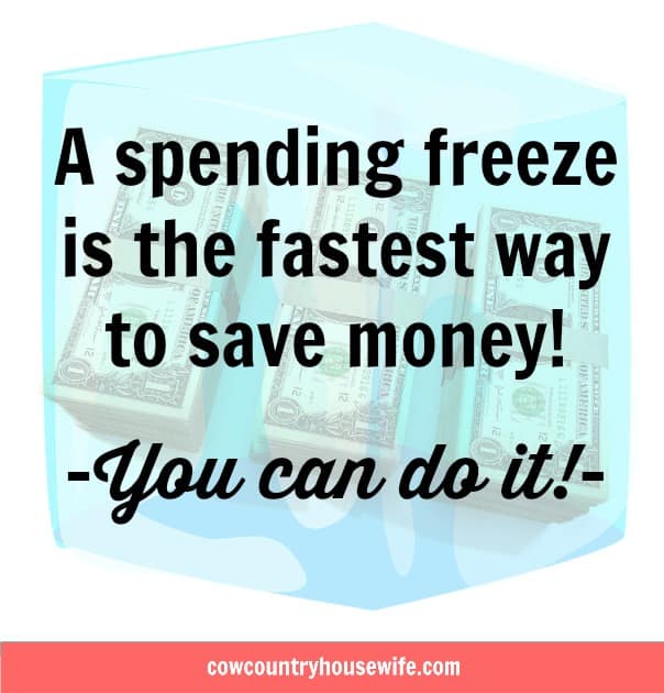 If you're looking for ways to save money fast, a spending freeze is the way to do it! Save money without working hard. Here are tricks from a spending freeze pro! Ultimate Guide to Surviving a Spending Freeze