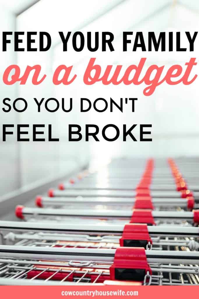 How to Feed Your Family on a Budget (so You Don't Feel Poor or Broke). I love this! She shares her best tips for feeding a family of 5 on a tight budget so that they don't feel poor. I need this for my family! Rice and beans is getting really old!