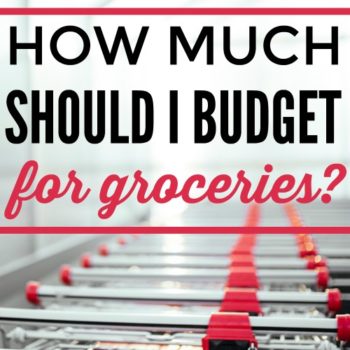 This is amazing! She shares how much you should pay for groceries and shares great tips to lower your bill. I love her ideas! She has a $75/week budget for a family of 5! She shares how to save money on food. How Much Should I Budget for Groceries?